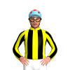 Jockey Silk