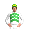 Jockey Silk