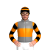 Jockey Silk